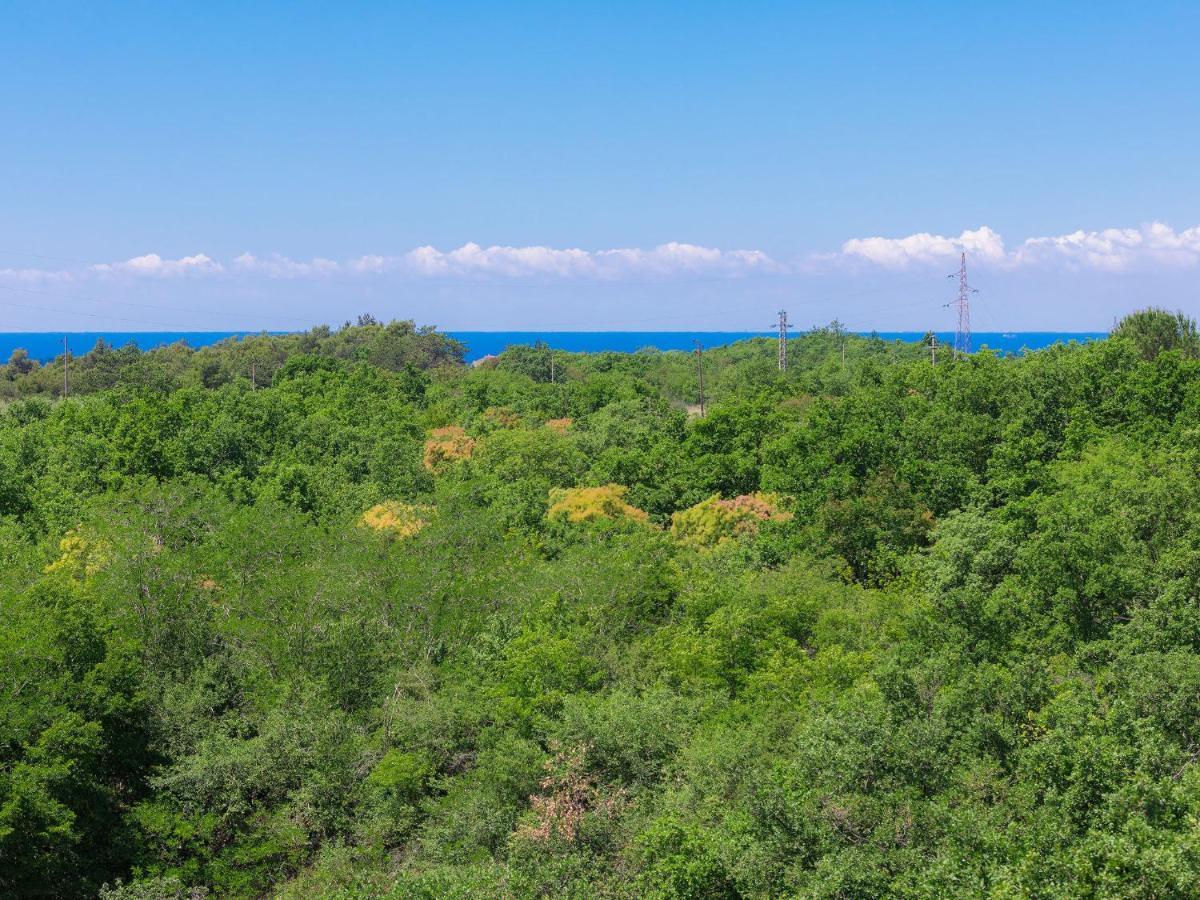Holiday Home - Casa Nini Bibali Dış mekan fotoğraf